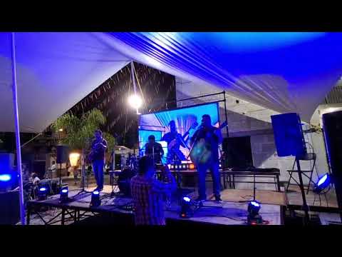 En Vivo: Grupo Mx7 canta su tema "Vida"