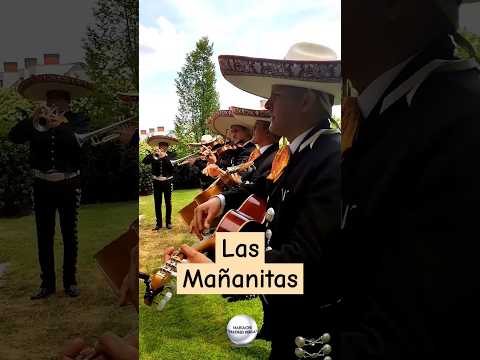 Las Mañanitas con Mariachi, #mariachisenmadrid