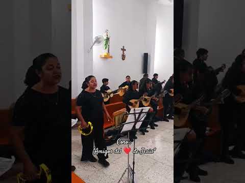 "Mi Canto"???? #musica #misa #canto #catolico #musicacatolica #niños #jovenes #jovenescatolicos