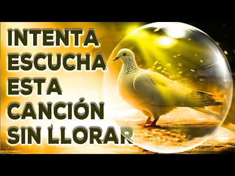 Música Católica de Alabanza ???? Himnos y Canciones para la Paz, la Fe y la Oración