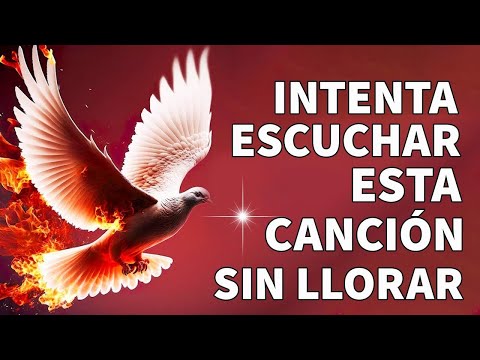 Música Católica – Oración y Alabanza a Dios ✨ Himnos y Canciones para la Paz del Alma 2025