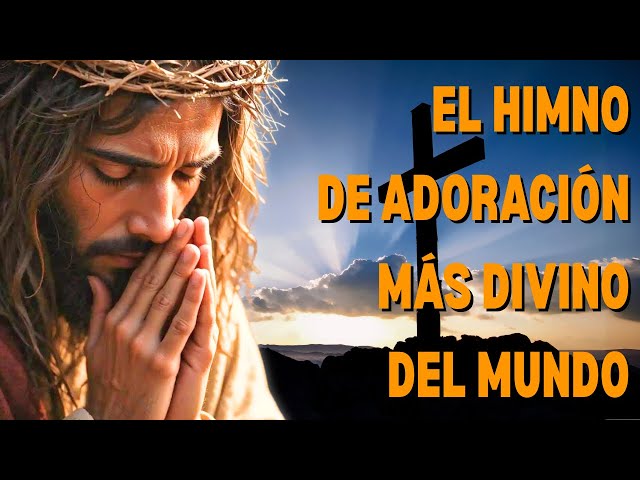 ???? Música Católica de Alabanza ???? Canciones que Ayudan a Liberar el Alma y Encontrar Paz ❤️????